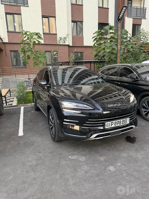 Byd Chempion gibrid 150tali
