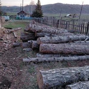 Древесина лиственница с. Маркаколь