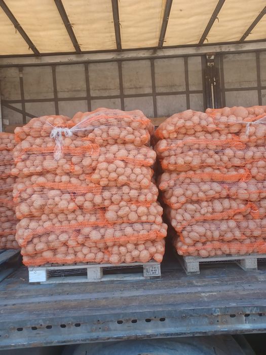 Cartofi, egalizati 10kg, 25 kg