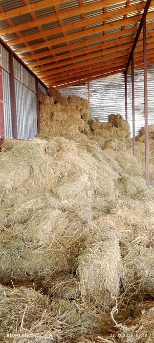 Сено разнотравье по 800