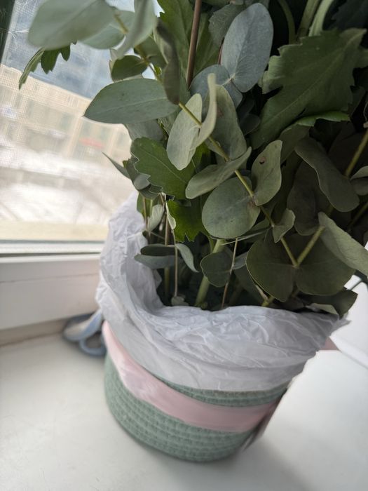 Букет цветов в корзине