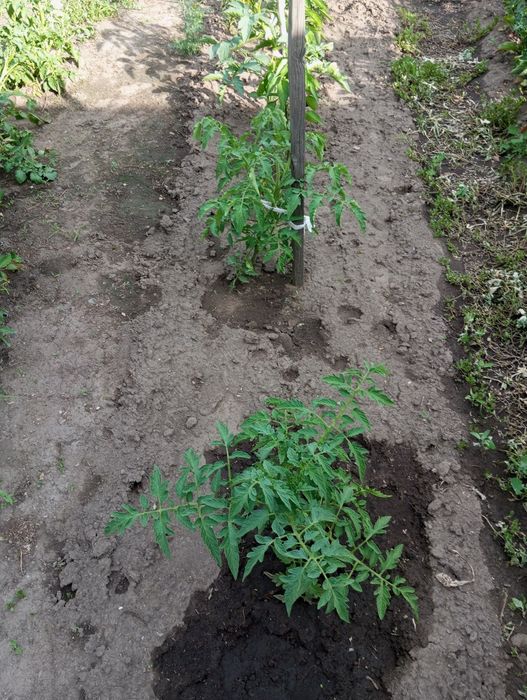 Продам кирпичный дом