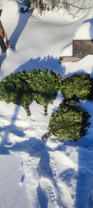 Веники березовые для бани