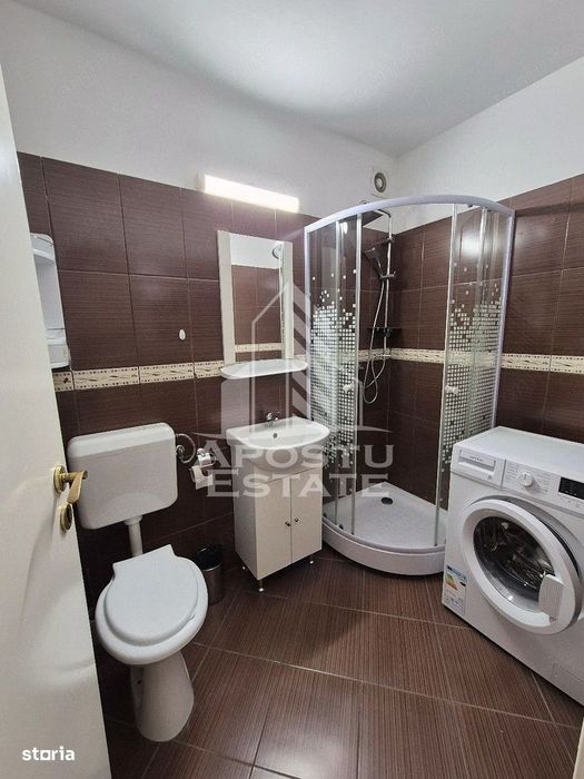 Apartament 1 camera de inchiriat, Pet friendly, AC, Lipovei, Timis — fotografia 3