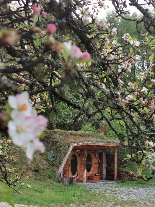 Domeniu turistic 6,2ha Horea fără vecini, funcțional, utilaje incluse