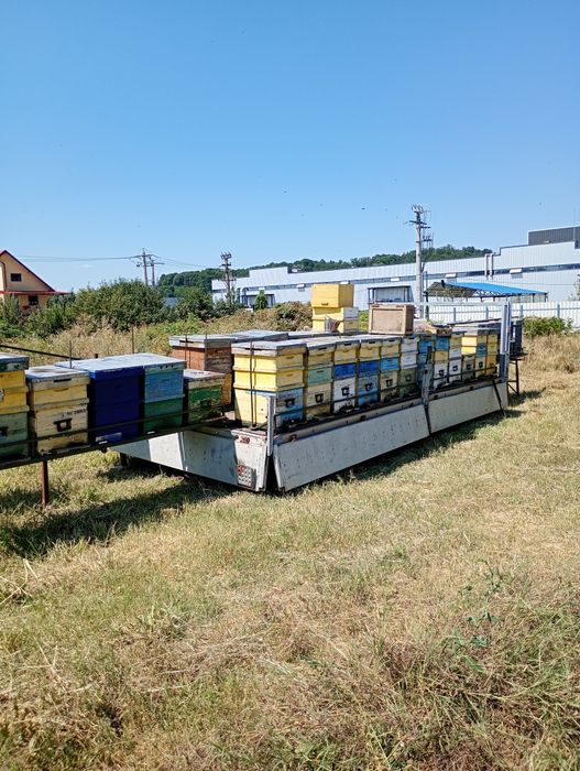 Vând remorca 3500kg