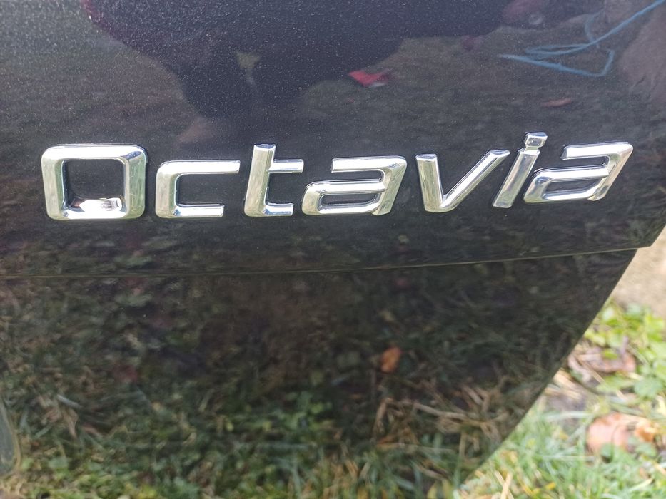 Vand Haion Luneta Skoda Octavia 2 Break