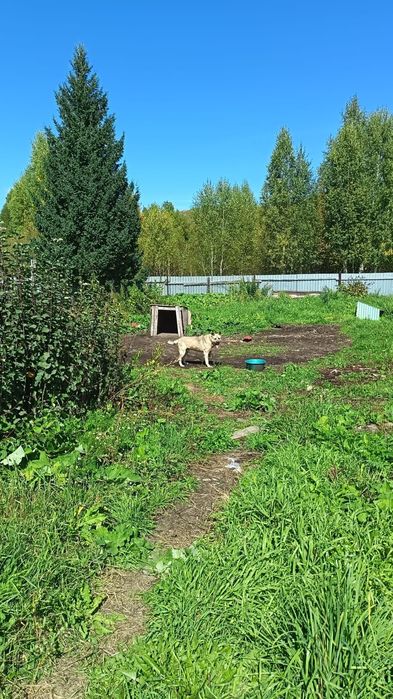 Продам дом. В Риддерре.