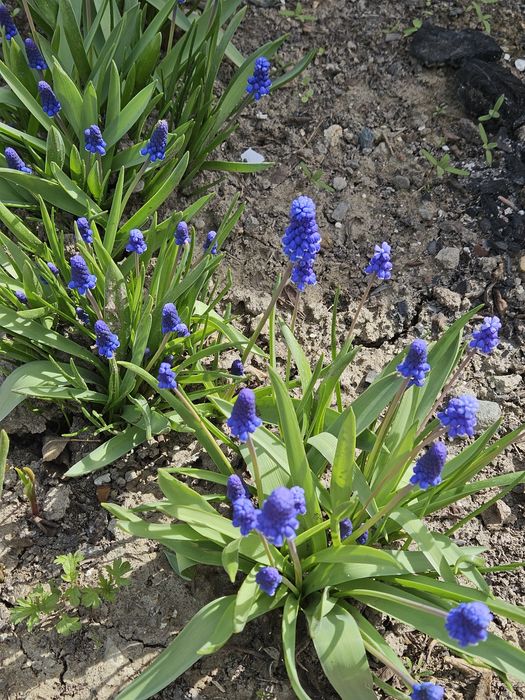 Продам Мансардный дом