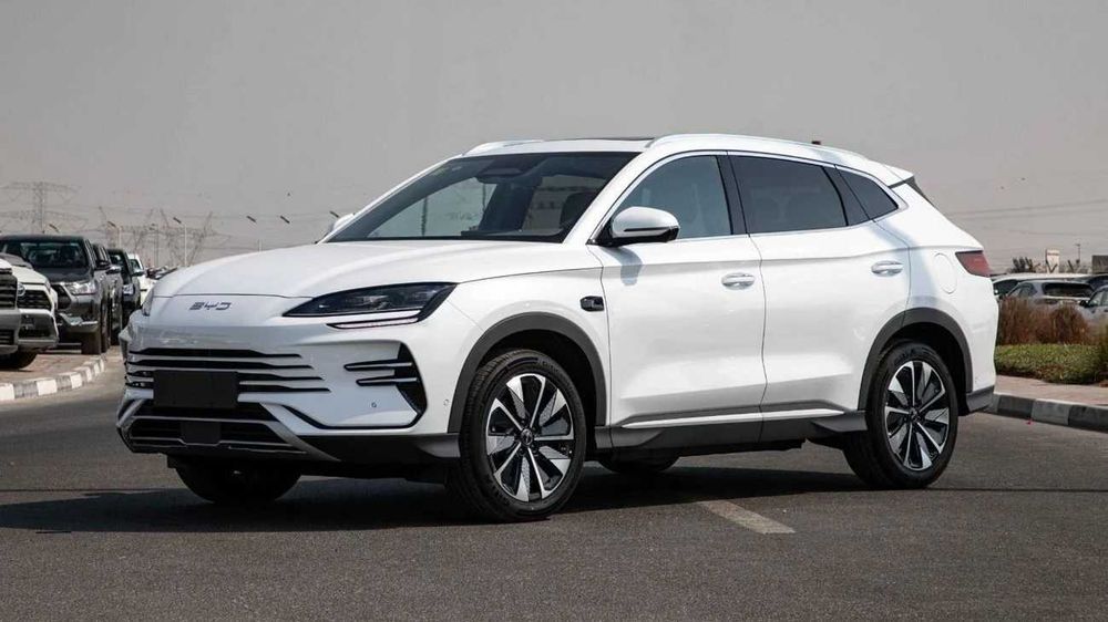 byd champion pod zakaz