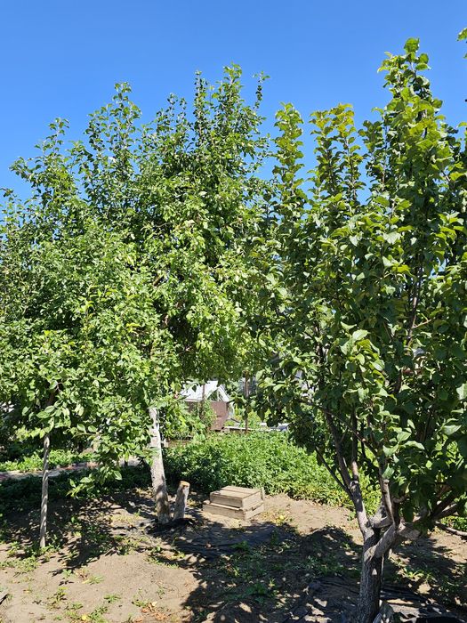 Продам ДАЧУ (Федоровка)