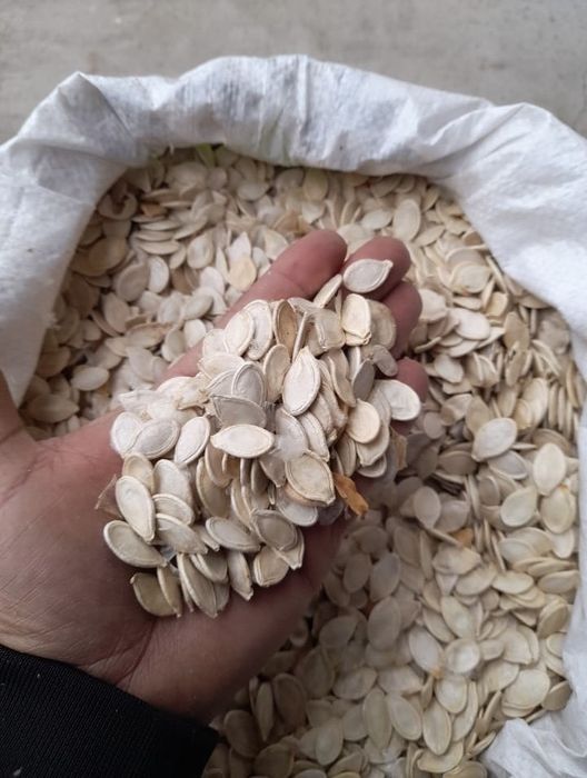 Vand seminte de dovleac!