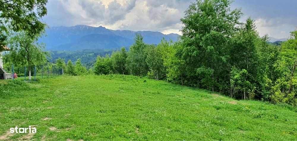 Teren casa de vacanta , Pestera , Brasov