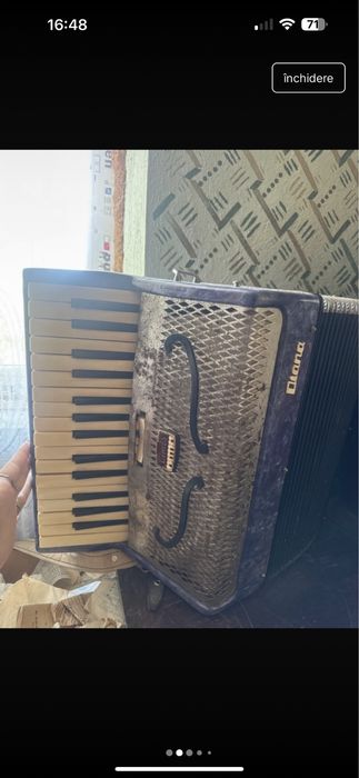 acordeon Diana de colectie
