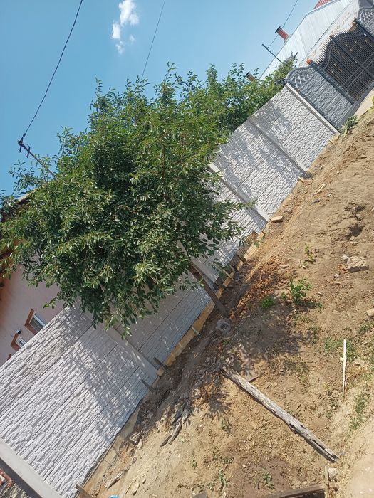 Gard de beton armat