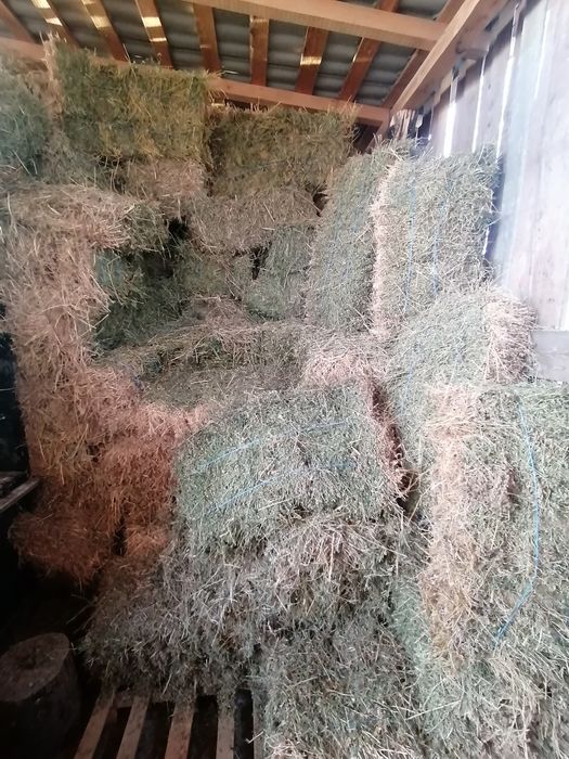 Baloți paie de orz, iarbă , lucernă