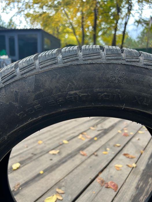 Автошины 225/55/17