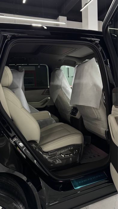 Denza n8L restayling