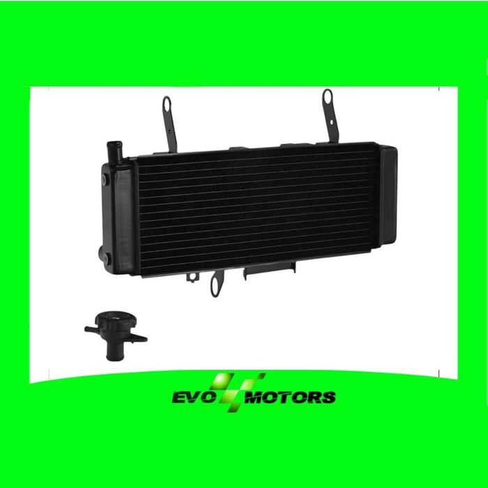 Radiator Suzuki SV650S SV650SA SV650A 2003-2004 A1317
