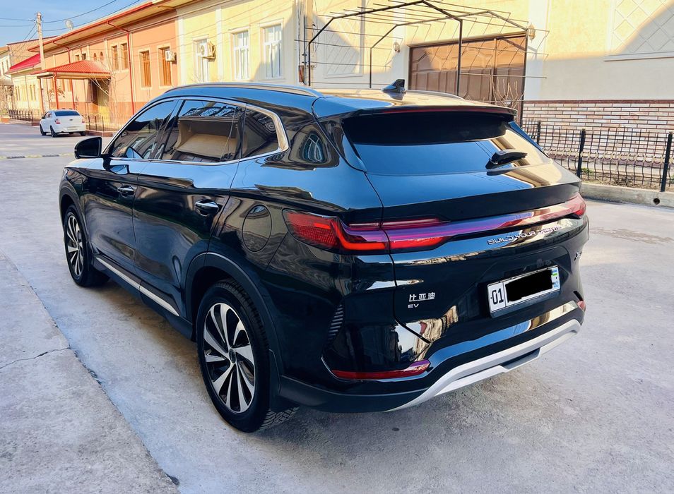 BYD chempion 605 tali Kraska Tozza 100%