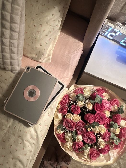 Ipad 10th generation 256