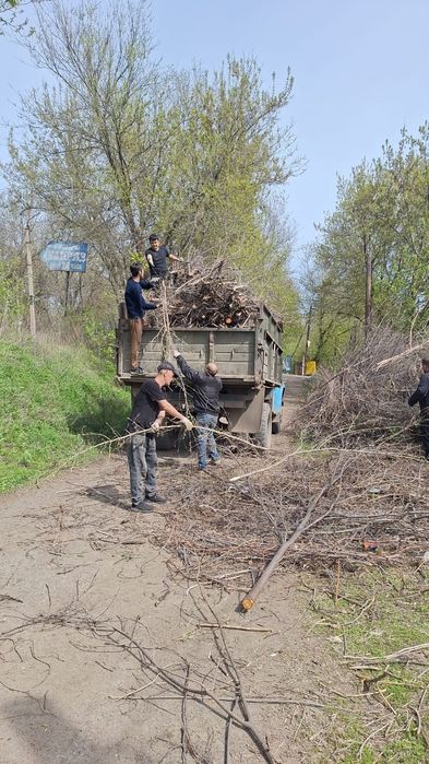 Вывоз мусора Веток, бытовой, строительный мусор итд 7/24