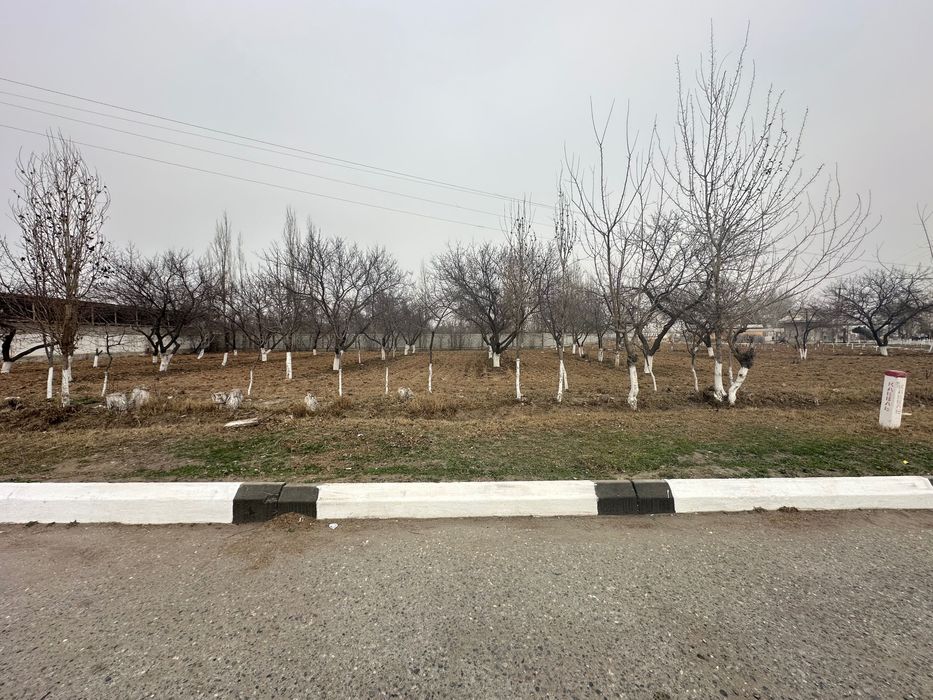 16 сотых ер зудлик билан сотилади