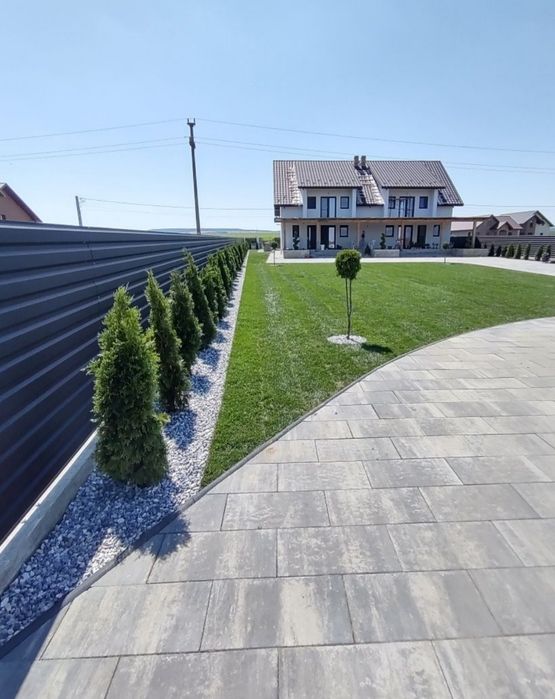 Tuia smarald extra calitate/ Gard viu permanent verde / Livrez gratuit