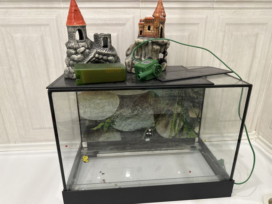 50-литровый аквариум