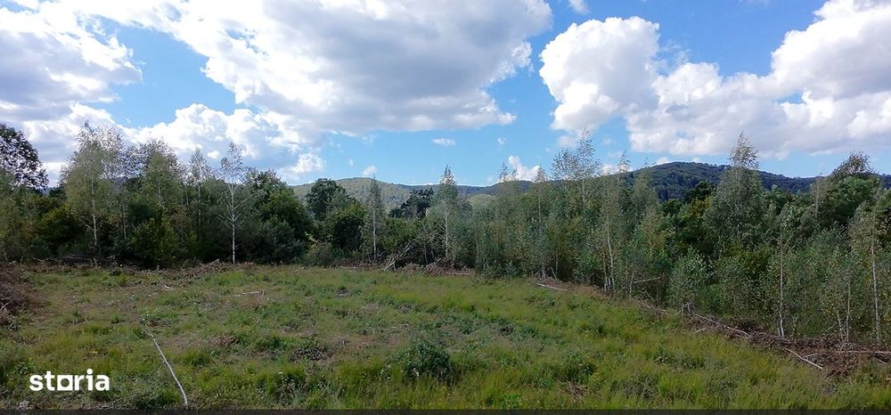 Teren ideal refugiu de weekend, 3182 mp/Plata in 2 rate !