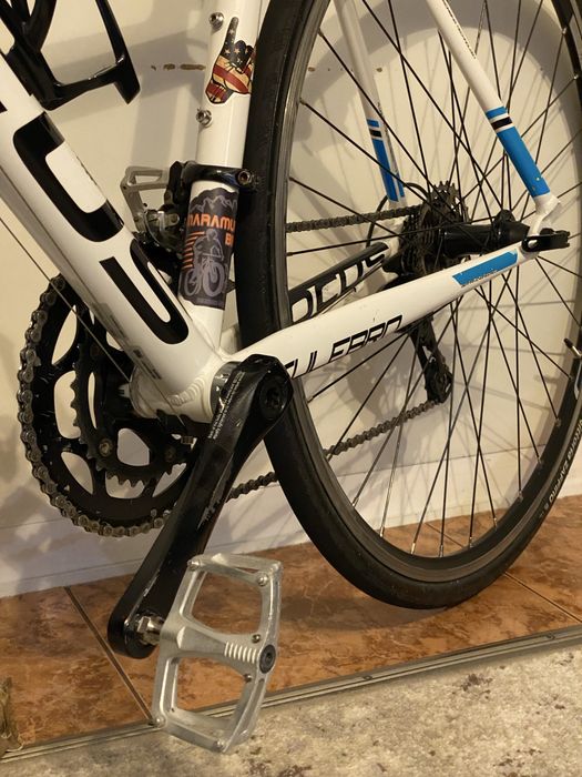 Cursieră Focus culebro 2015