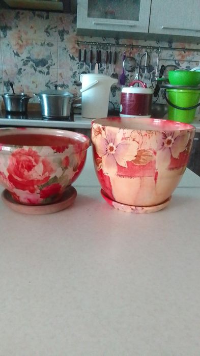 Комнатные цветы и горшки