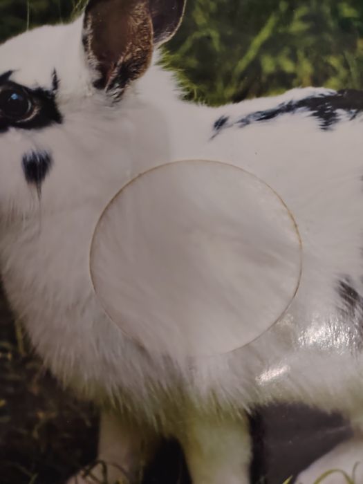 Комплект детски книжки за 20 лв.