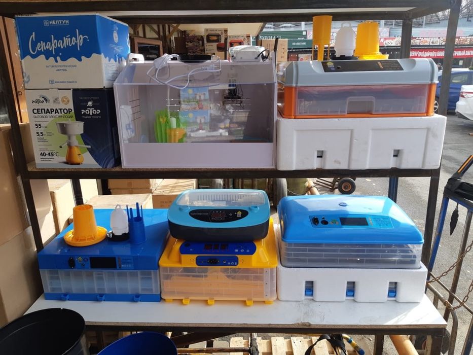 Инкубатор цифровой автомат