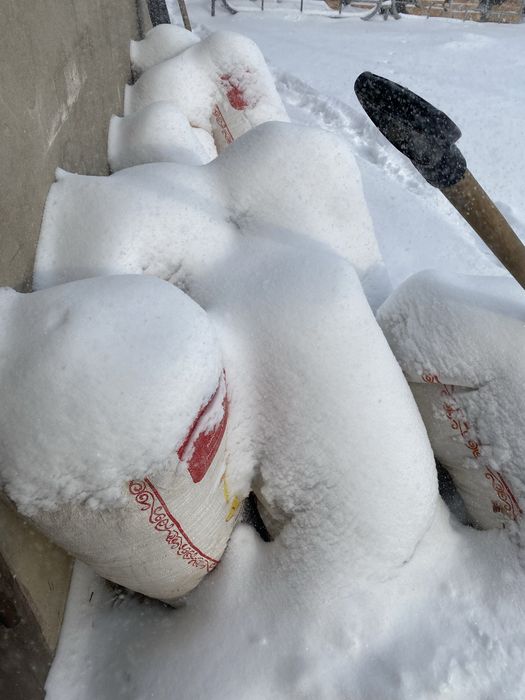 Отдам бесплатно опилки в мешках
