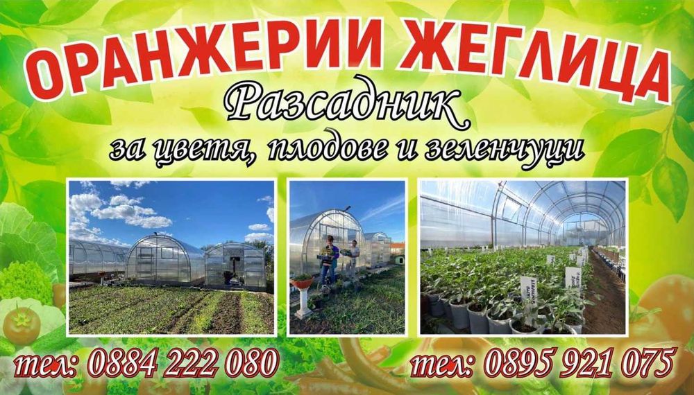 Разсади за Домати, Краставици, Билки и Цветя