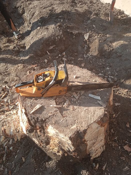 Дарахт кесиш хизмати aбрезка дерево бензaпила услуга.