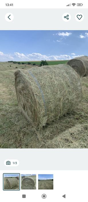Vând s-au Schimb Baloți