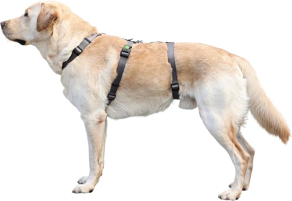 Ham anti-panica pentru animale de companie Kerbl Miami Gri