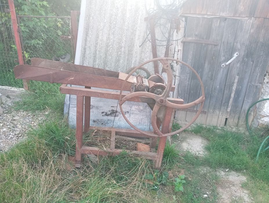 Sisca tocatoare strujeni