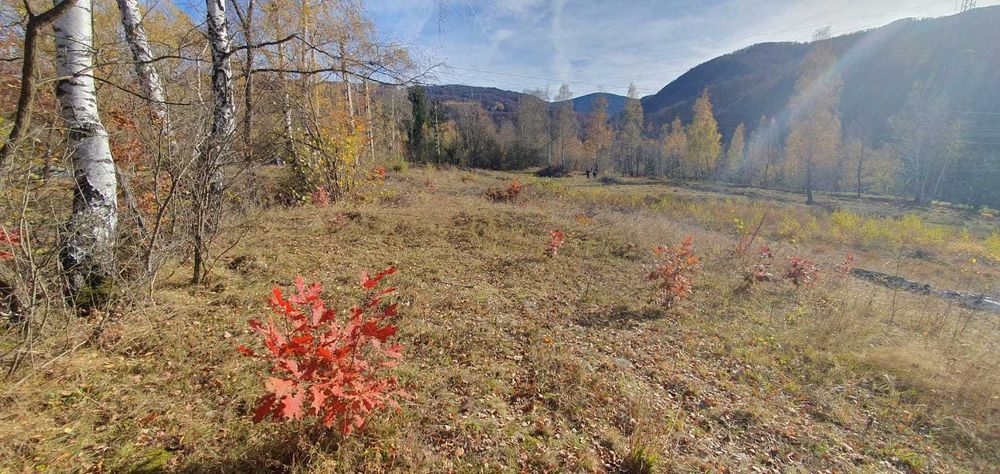 Teren intravilan langă telegondola spre stațiunea Straja Lupeni HD