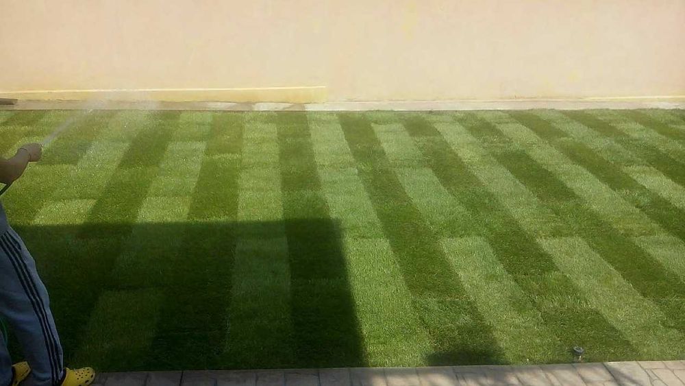 Grădină ca-n Revistă – Gazon Rulou, Nivelare și Montaj