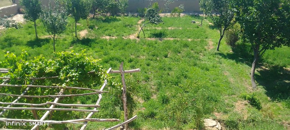 16 sotix yer sotiladi