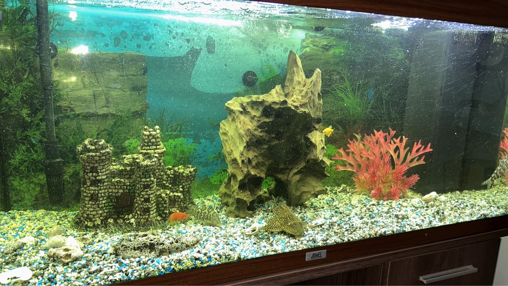 acvariu juwel cu toate accesoriile