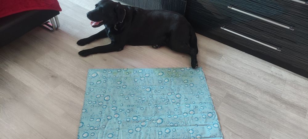 Охлаждающая лежанка