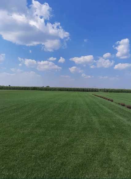 Gazon Rulou Premium Sisteme de irigare