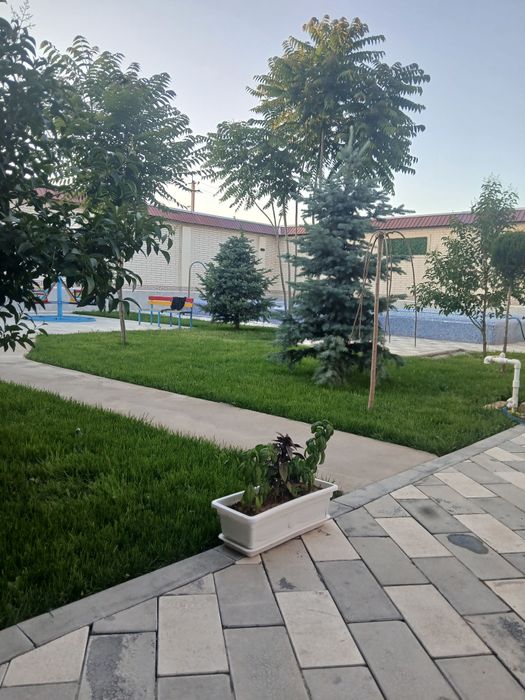 Дача сотиллади йнги жое чорвога 20 км йтмастан йоли юзида