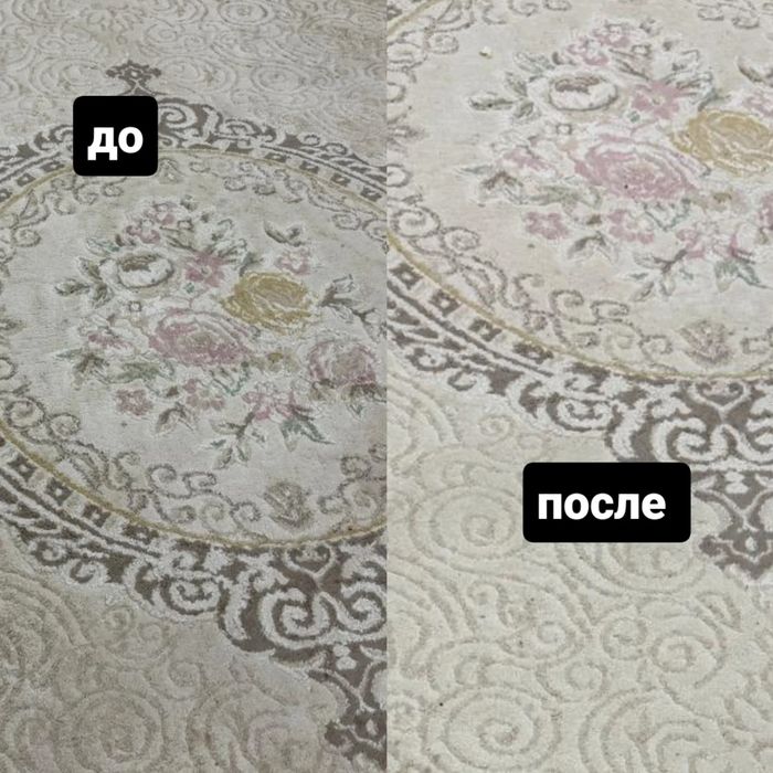 Аренда моющего пылесоса Karcher