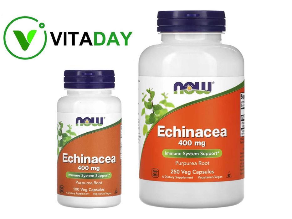 NOW Foods Echinacea эхинацея 400 мг