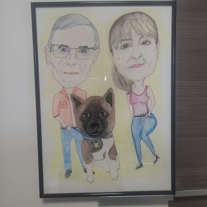 Шаржове (карикатура)